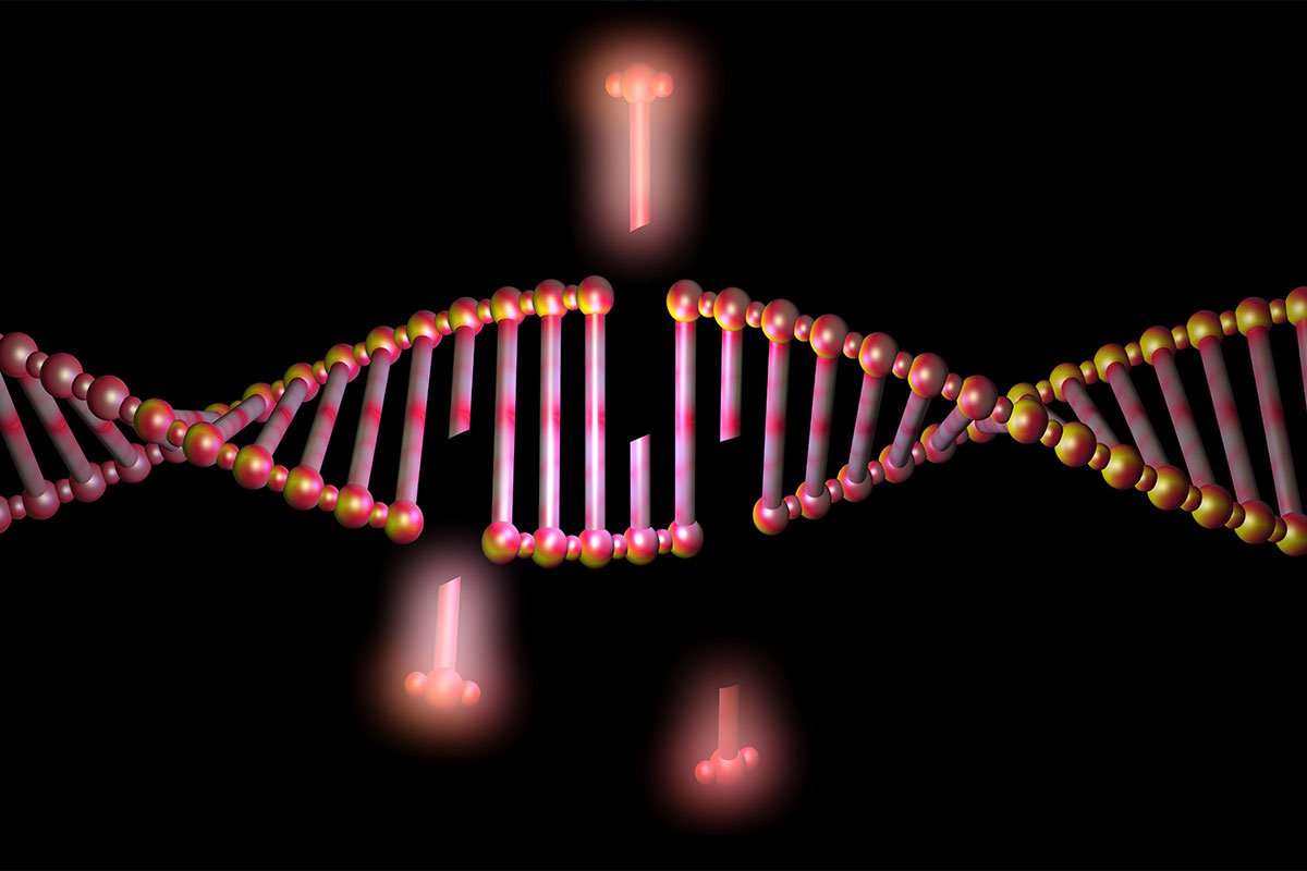 image for CRISPR gene editing is not quite as precise and as safe as thought