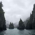 image for Kenai Fjords in Resurrection Bay, Alaska [OC] [2436x1125]