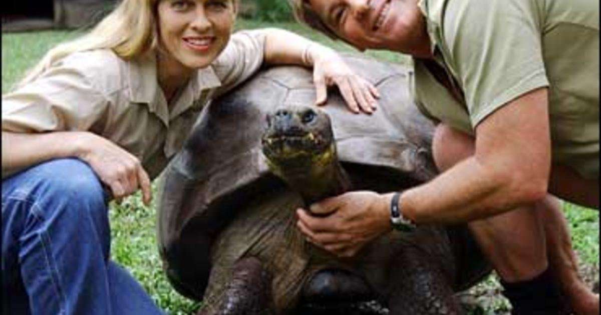 image for Darwin's Tortoise Dies After 176 Years