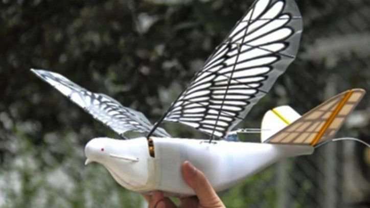 image for China launches high-tech bird drones to watch over its citizens