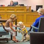 image for This best boye helping children testify