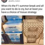 image for When it’s F1 summer break...