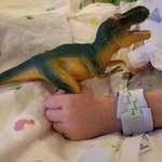 image for First action my son made after waking up from a 2 month coma, reaching for his favorite dino