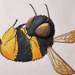 image for Tumblebee, colored pencils, 8x10"