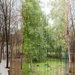 image for A picture in 365 slices. Each slice is one day of the year. Photo/Eirik Solheim