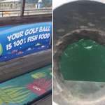 image for The golf balls at the mini golf on this pier are biodegradable and fall into the sea at the 18th hole