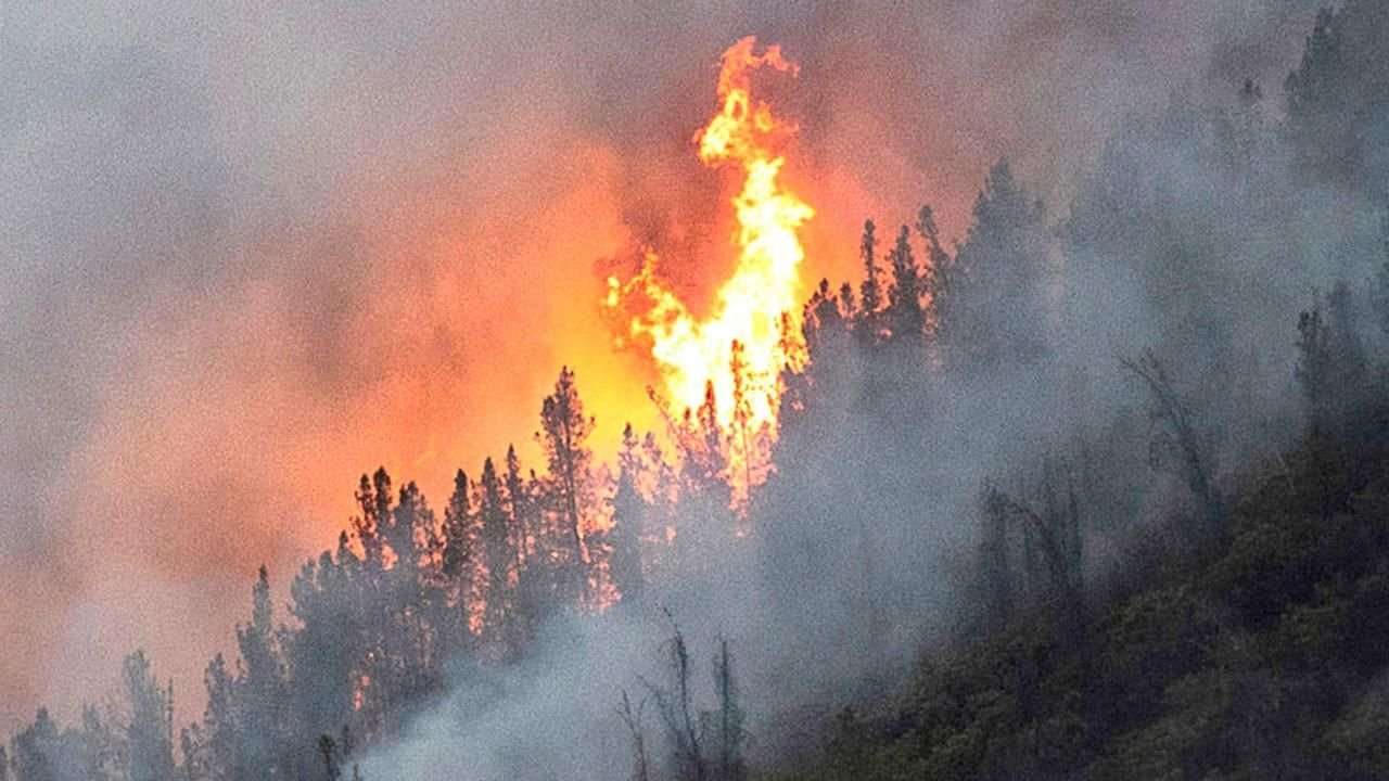 image for Seattle's air quality 'worse than Beijing' as wildfires scorch eastern Washington