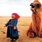 image for A little girl and her camel sharing a moment, Mongolia.