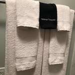 image for A black towel in my hotel room for make-up so the white ones donâ€™t get stained.