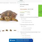 image for Would you like your tortoise to live? $5 please.