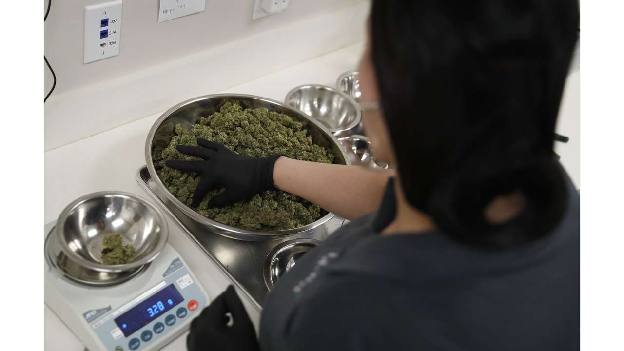 image for Nevada collects $69.8M in marijuana tax, exceeding expectations