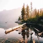 image for Hazy reflections at Mt. Rainier National Park, WA. [2611x3221][OC] Instagram: @grantplace