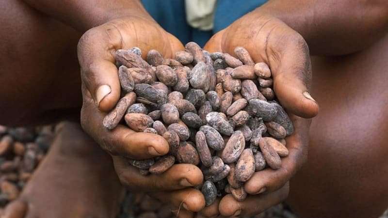 image for Nestle says slavery reporting requirements could cost customers
