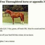 image for They don't want any horse for free, they want a young, thoroughbred that has been well trained and is perfectly healthy. These kind of horses can range from $2,000-$10,000.