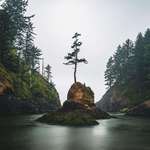image for Dead Man's Cove at Cape Disappointment, WA [2048x1366] [OC]