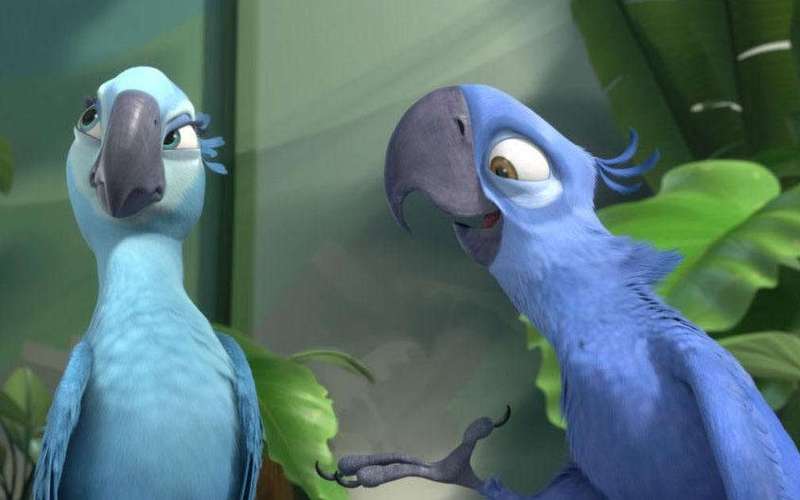 image for Blue macaw parrot that inspired "Rio" is now officially extinct in the wild