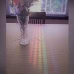 image for This Spectrum Reflected Off The Dining Room Window Through A Chair Back