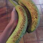 image for These bananas are both overripe and underripe