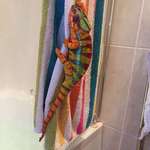 image for Chameleon on a colorful bath towel