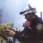 image for Today, we remember the men, women, and K9s who risked their lives 17 years ago