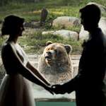image for So we got married at the Zoo, and this bear had an interesting first look reaction