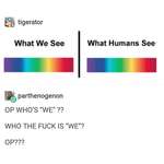 image for what we see vs what humans see
