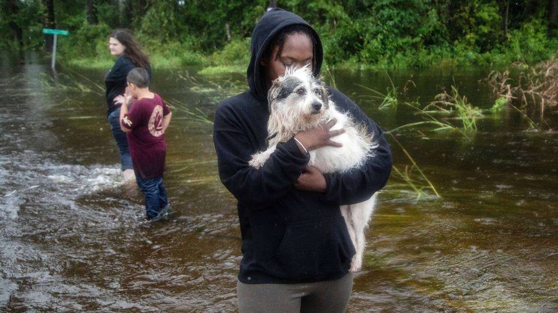 image for Hurricane Florence: New Bern, NC boat storm rescue dogs