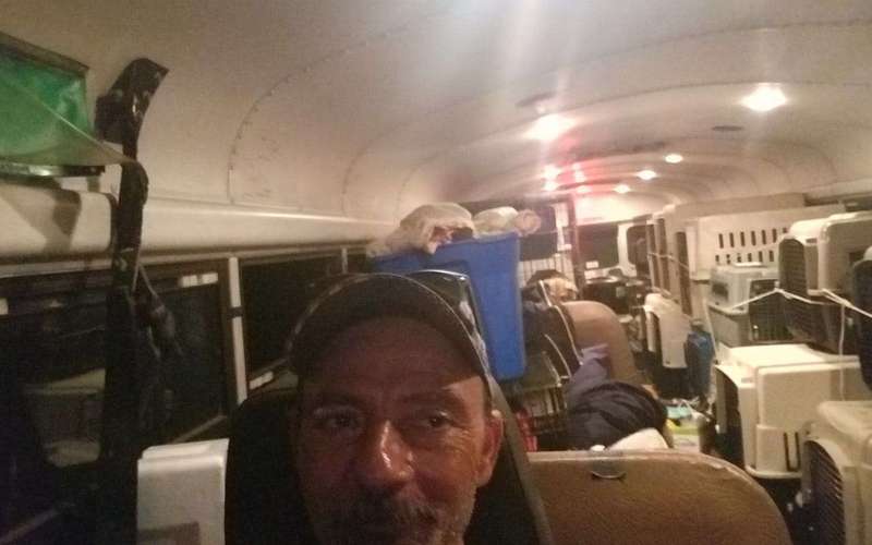 image for Noah’s Ark except it’s a school bus: Truck driver rescues 64 dogs and cats from floods of Hurricane Florence