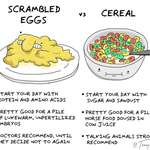 image for scrambled eggs vs cereal: a guide [OC]