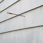 image for Woke up and found an arrow shot into my house this morning