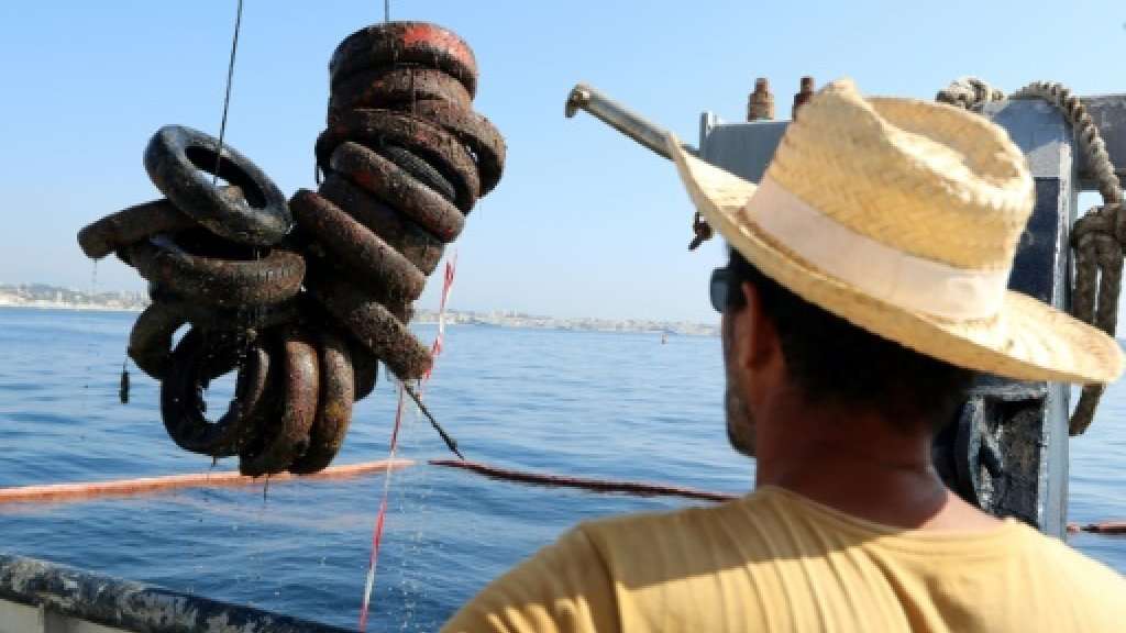 image for France reverses car tyre sea sanctuary -- an environmental flop