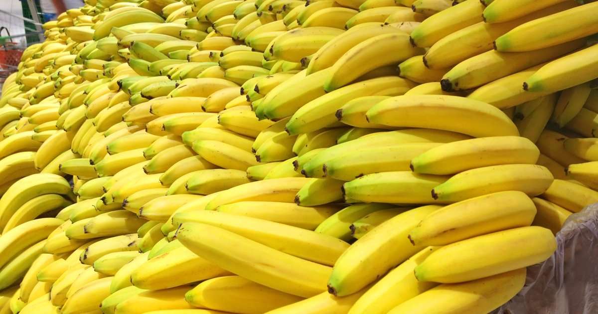 image for $18 million worth of cocaine found in bananas donated to Texas prison, report says