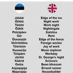 image for Let's try the other way around! Estonian words into English.