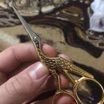 image for Dank bird scissors
