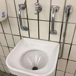 image for In Germany we have "puke sinks" in some public places that have events like the Oktoberfest.