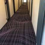 image for Flat carpet in a hotel in cologne, germany imitating a curvy surface