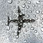 image for Plane reflected in droplets