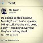 image for [Image] Be a shark