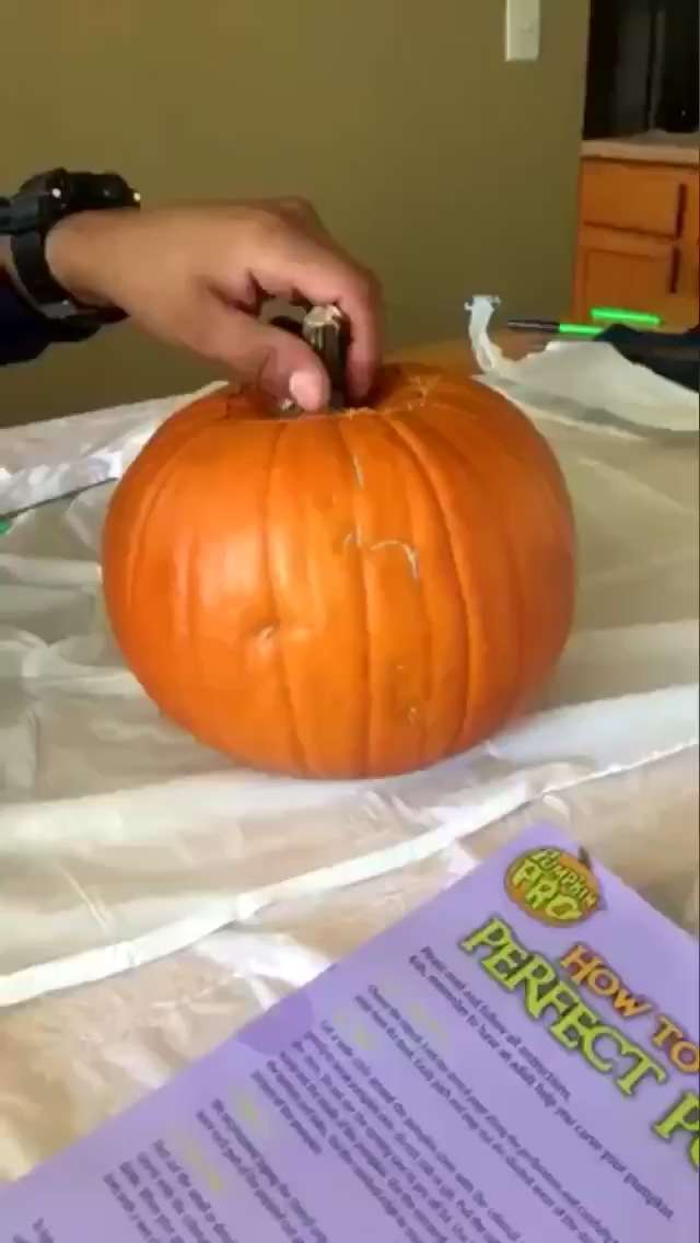 image for This pumpkin is definitely alive you stupid little kid : KidsAreFuckingStupid