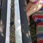 image for A 8 year old girl found a 1500 year old Viking Sword while swimming in a lake
