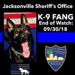 image for RIP Fang the K9. He died in the line of duty this week while pursuing an armed carjacking suspect.