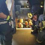 image for Kansas City fire department rescues Kansas City police department from a stuck elevator