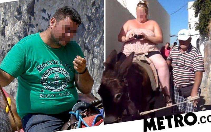image for Greece bans obese tourists from riding on donkeys