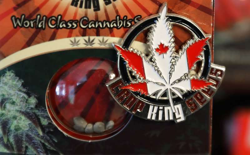 image for Spark it up, eh! Canada prepares for legalized marijuana