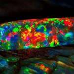 image for 🔥 The Virgin Rainbow Opal is valued at over $1 million, glows in the dark, and was formed/found inside the skeleton of an ancient cuttlefish known as Belemnite