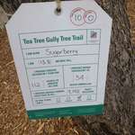 image for The local council has info cards on the trees in the park...