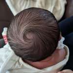 image for My newborn son's hair whorl