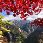 image for Fall season in Seoraksan National Park, Korea last Saturday [1334x750][OC]