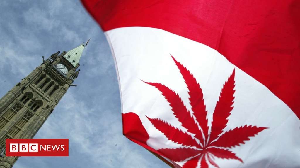 image for Canada becomes second country to legalise recreational marijuana