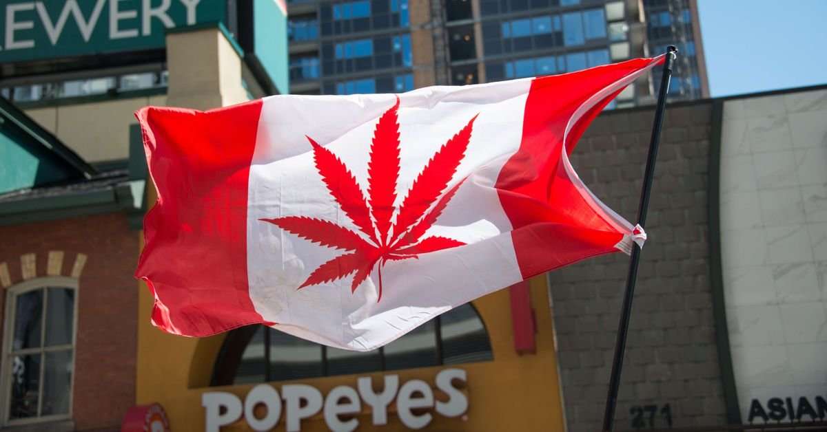 image for Toronto police to Canadians: stop snitching on your neighbors about marijuana